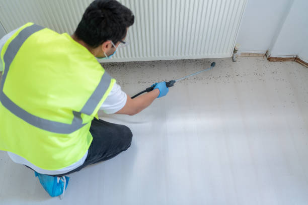 Best Fumigation Services  in Birngham, MI